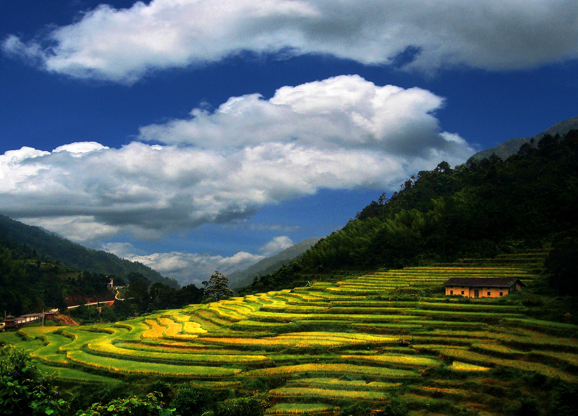 美丽的乡村旅游资源——高州仙人洞村梯田（市旅游局供稿）.jpg